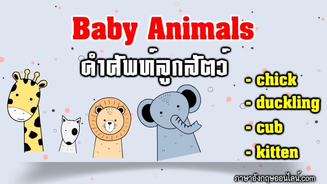ลูกสัตว์ภาษาอังกฤษ เรียกว่าอะไรกันบ้าง (Baby Animals) ไปเรียนรู้กัน ณ  บัดนาว - ภาษาอังกฤษออนไลน์